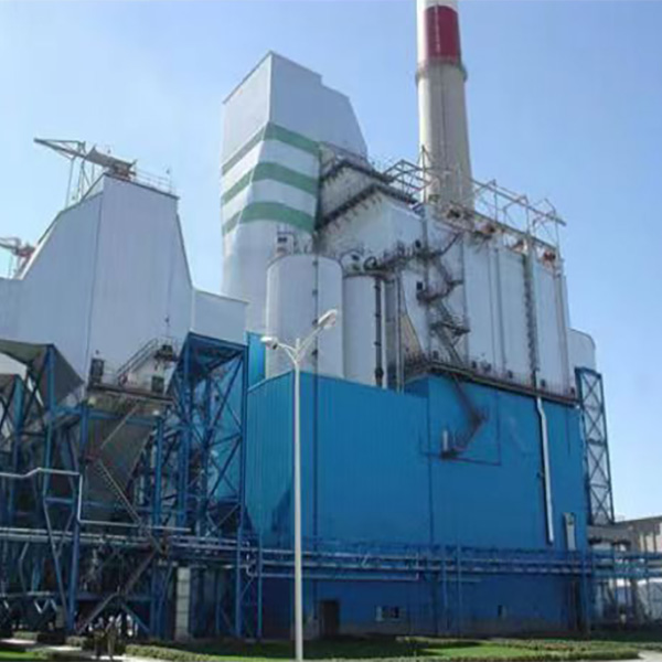 Biomass industry